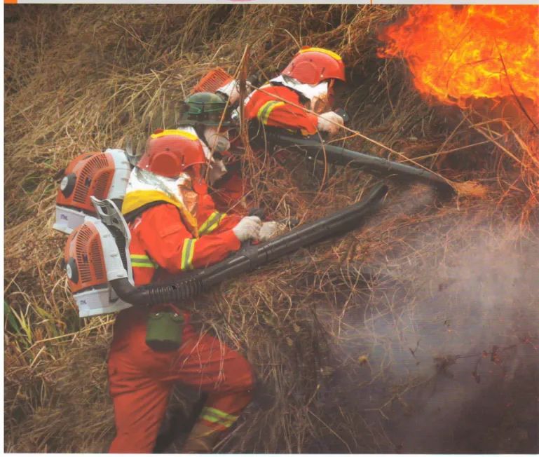 展商：专注森林消防及养护——潍坊瑞华生态参展青岛应急展(图7)